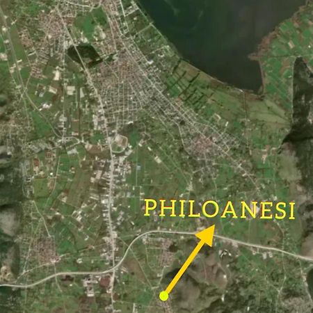 Apartament Philoanesi Neokesaria Zewnętrze zdjęcie